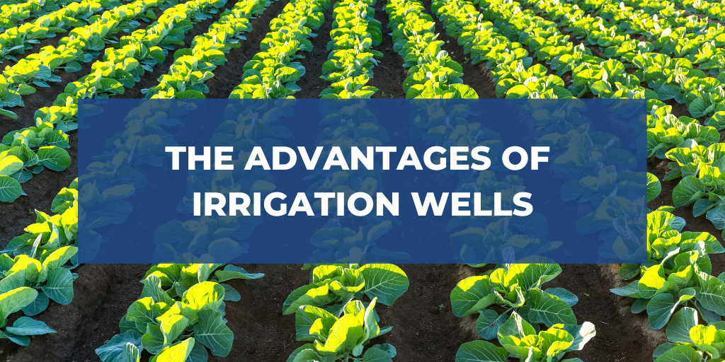 The Advantages of Irrigation Wells